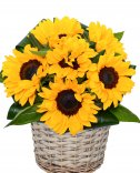 Flower basket - sunflower