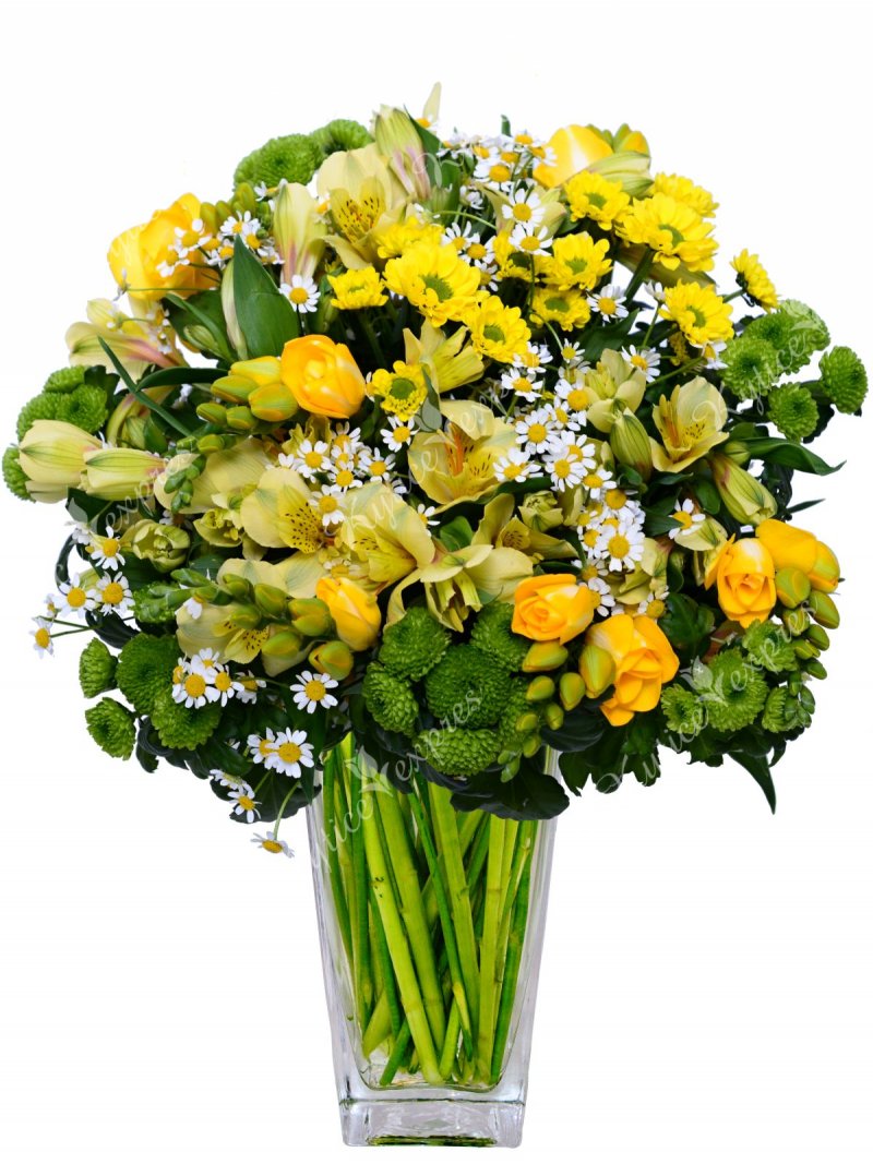 Mustard bouquet from freesias - express bouquet