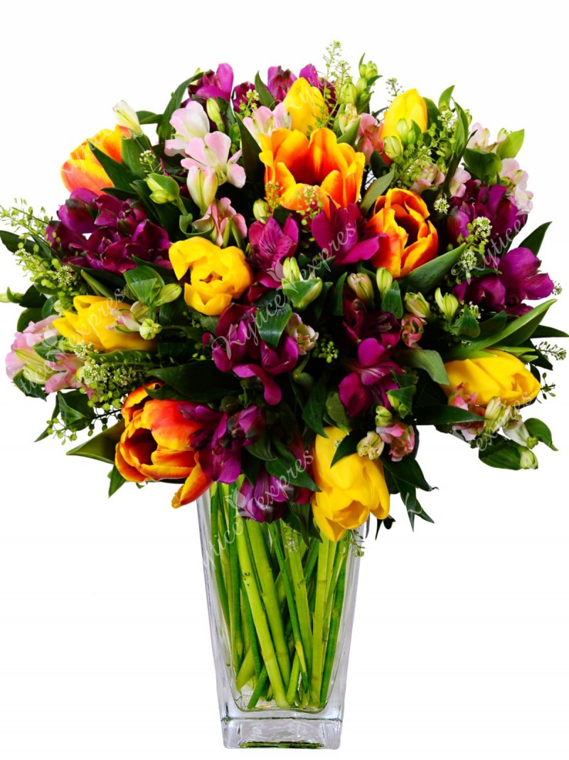 Tulip bouquet - a mix of tulips and alstroemeria