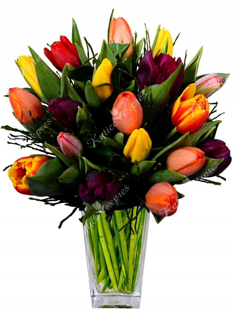 Букет разноцветных тюльпанов Антоанета