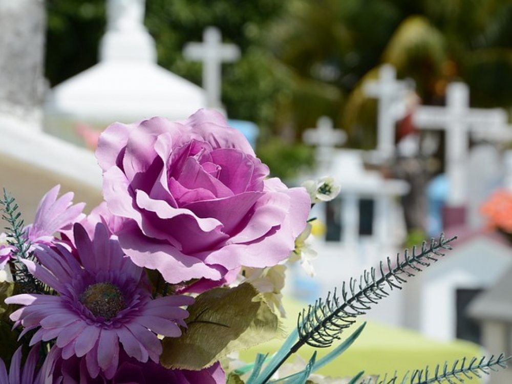 Jakou květinu na pohřeb